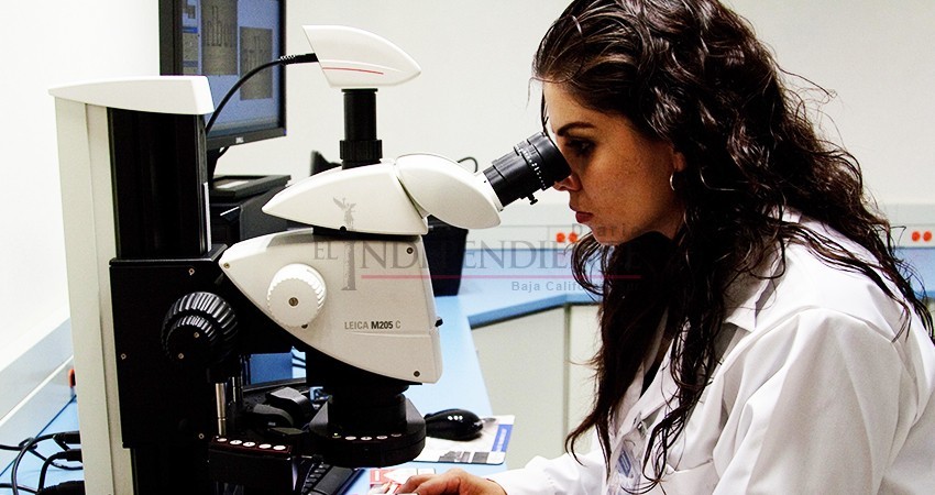 Espera Coscyt auge en investigación científica tras llegada de Conacyt a La Paz 