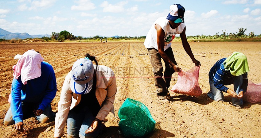 Crece BCS, pero el campo sigue rezagado y disminuye 1.4%