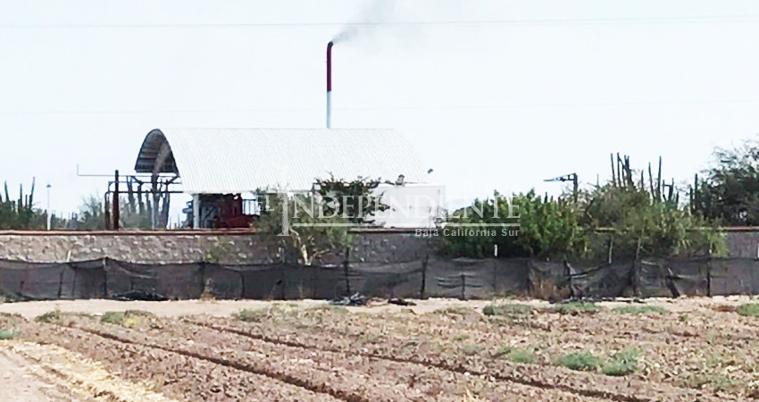 Denuncian que Cabo Fuels quema toneladas de llantas clandestinamente en La Paz