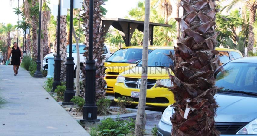 Comerciantes del Blvd Mijares esperan reunirse con nuevo delegado de Fonatur