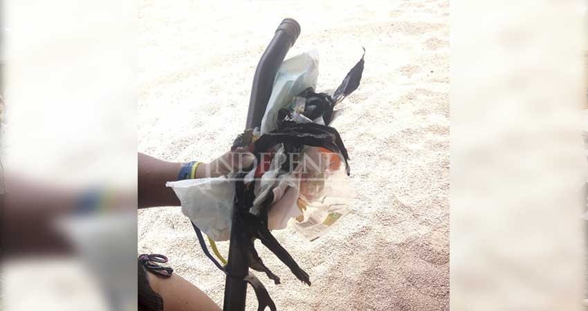 Advierte coepris BCS no nadar o realizar actividad alguna en playas de Los Cabos