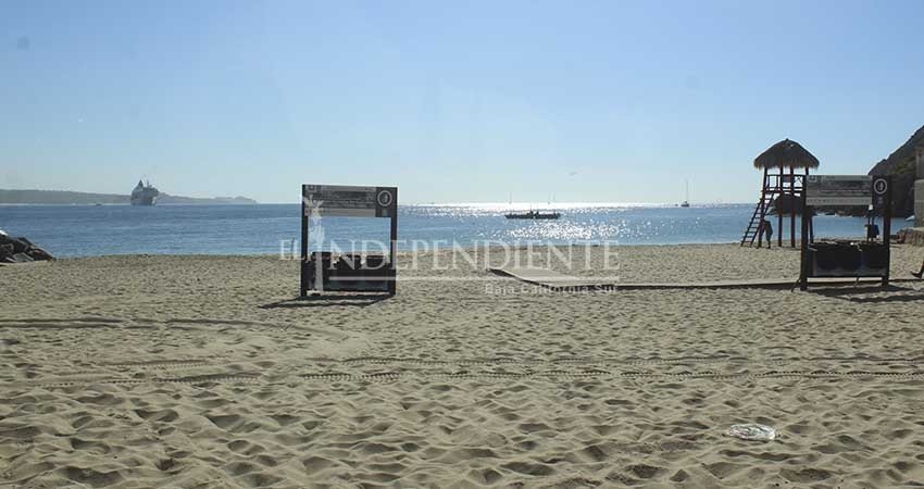 Exhortan a bañistas a tener cuidado por presencia de medusas en playas de Los Cabos