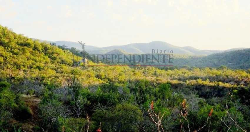 Continúa “Los Cardones” en busca de permisos: Freciudav