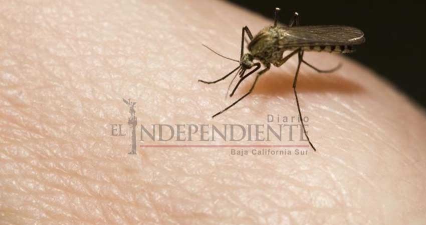 Intensificarán acciones de prevención por el Día Internacional contra el dengue