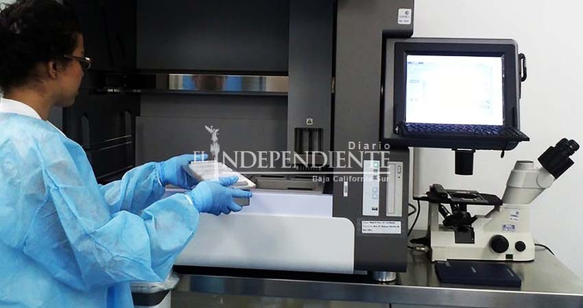 Desarrollan software que predice enfermedades genéticas