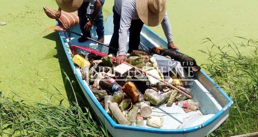 Fundación Sandos participa en recolectar más de mil kilos de basura del Estero Josefino