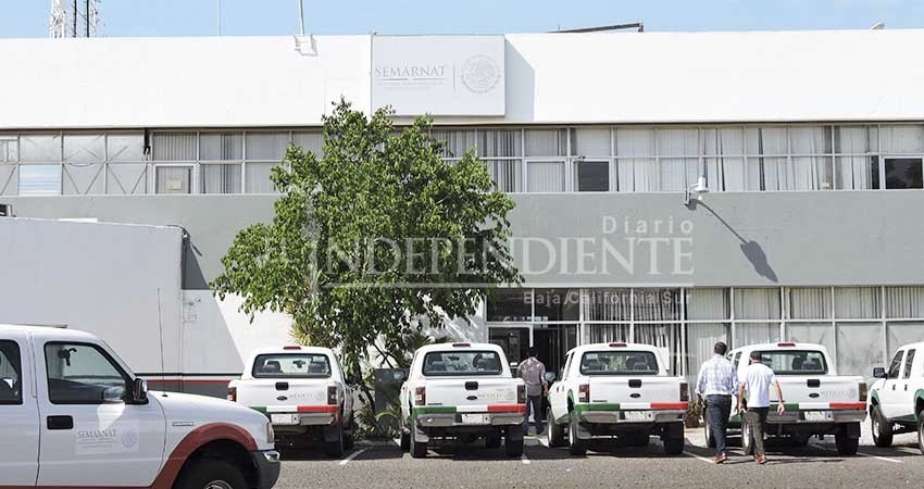 Semarnat turna a PROFEPA para atender denuncia contra La Testera