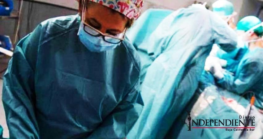 En Alemania proponen donación de órganos obligatoria