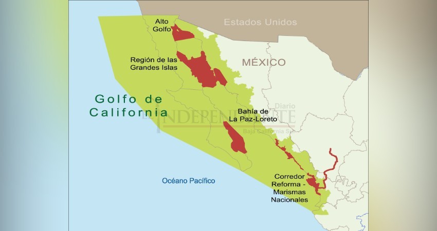 No aceptaremos la creación del área protegida en el Golfo de California: FEDECOOP Centro