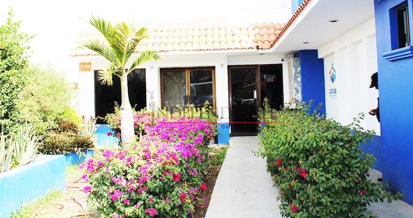 Hasta 300 solicitudes de tomas comunitarias ha recibido Oomsapas