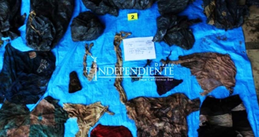 Hallan 32 fosas y 166 cráneos en Veracruz