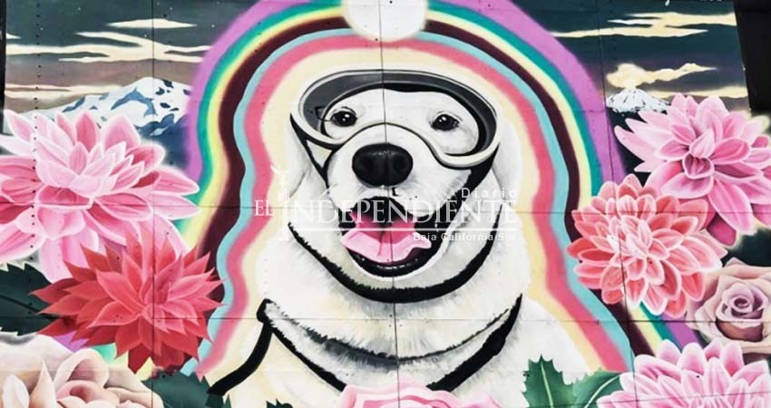 Hace un año México y el mundo conocieron a ‘Frida’, la perrita rescatista