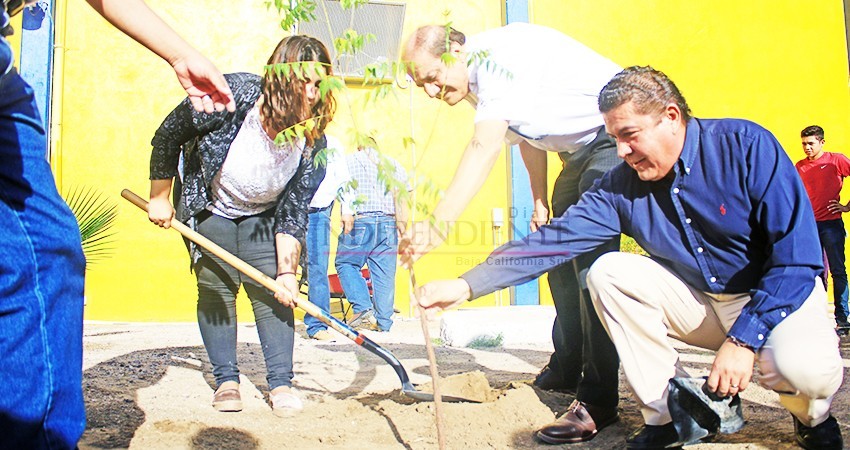 Inicia UABCS campaña de reforestación en su campus central