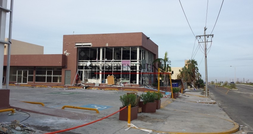 A 4 años de Odile comunidad de Los Cabos se encuentra más fortalecida que nunca