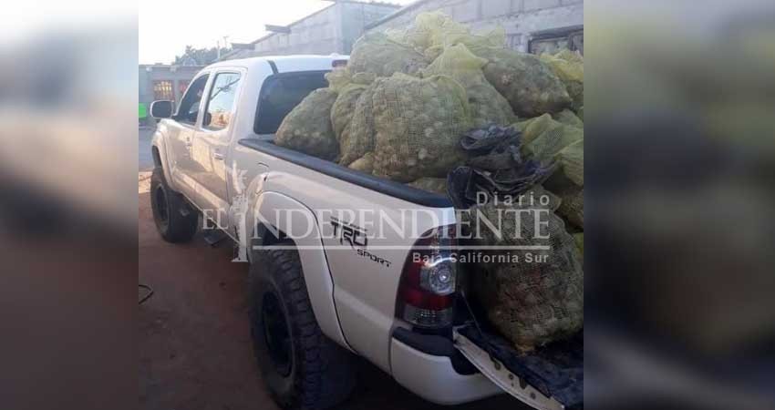 Extraen almeja Catarina ilegalmente en San Carlos; no hay presencia de FONMAR