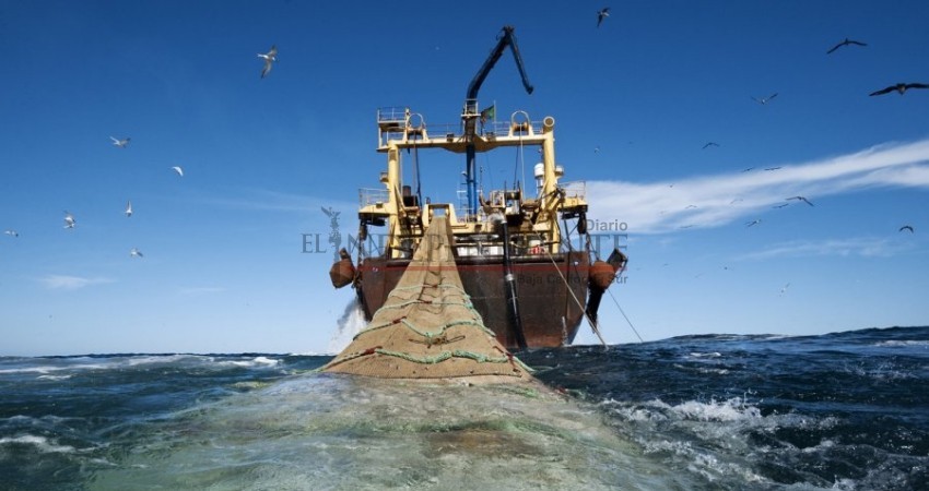 No debe desaparecer Comisión de Pesca en el Senado: Lupita Saldaña