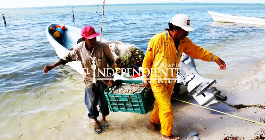 Aseguran que Reserva en Golfo de California restringiría la pesca de barcos a 35 millas de BCS