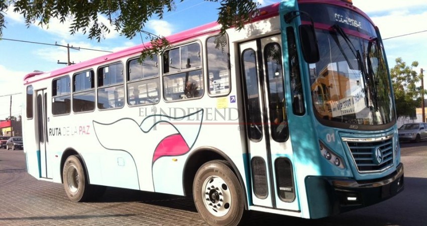 Culpa el PVEM al Gobierno de BCS de deslindarse del transporte público