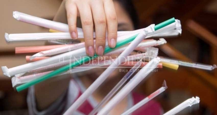 Prohibir popotes en changarros mejoraría condiciones de playas de Sonora