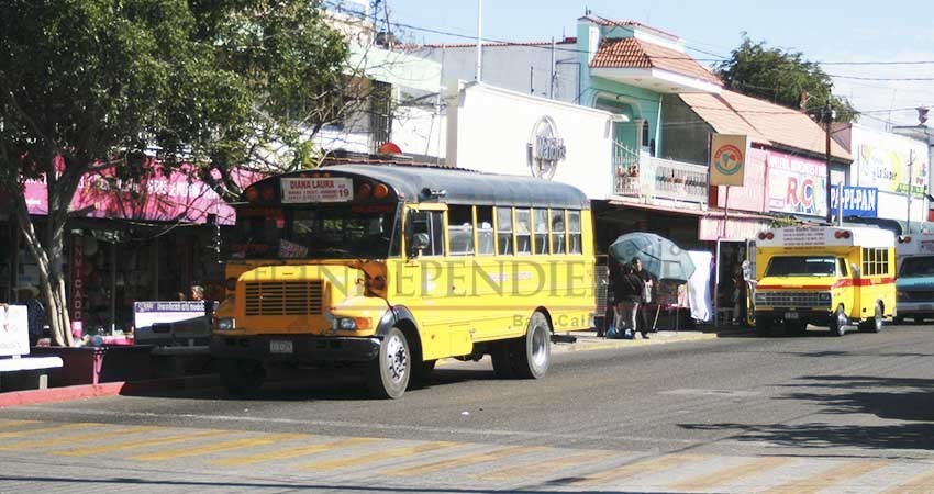 Importante que el PES trabaje en nueva Ley de Movilidad: Perla Flores