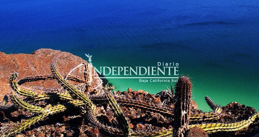 No a la Reserva del Mar de Cortés, reclaman desde el Congreso local