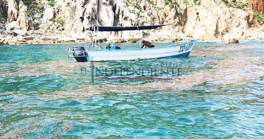 Tras tormenta eléctrica Puerto de CSL opera con normalidad