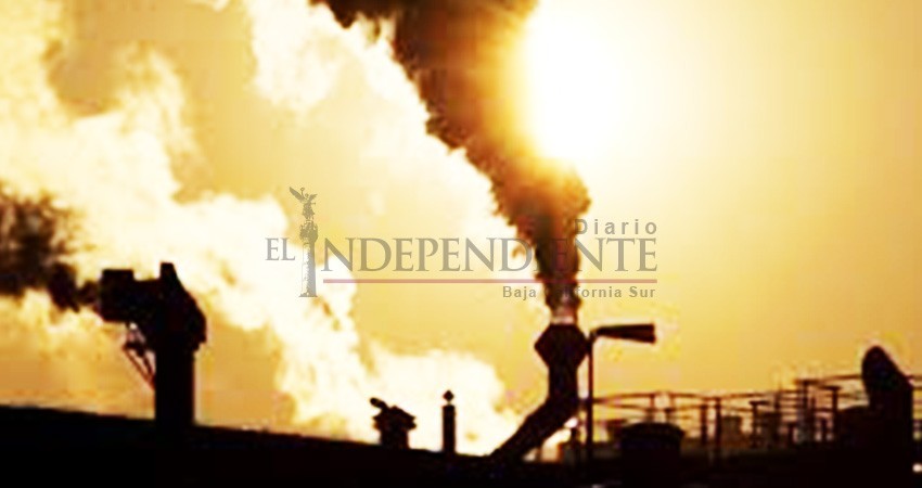 Terminales de energía eléctrica afectan a la salud de los paceños: Cerca