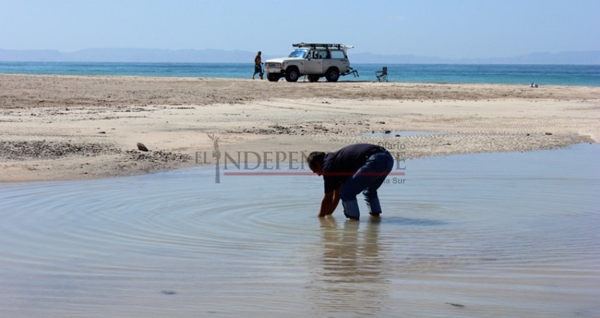Analizan aguas de playa El Tecolote por supuestas heces fecales