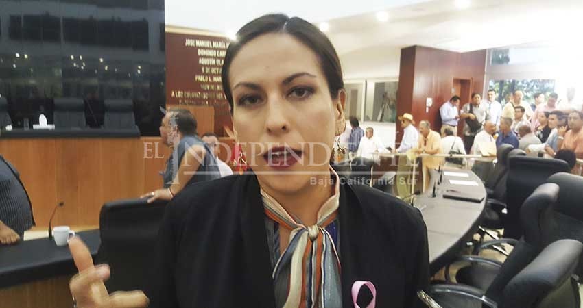 No será al vapor iniciativa de “zonas de salvaguarda” del agua: Morena