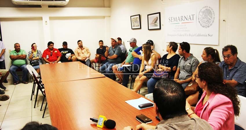 Denuncian turisteros "palancas" con permisos del tiburón ballena en La Paz