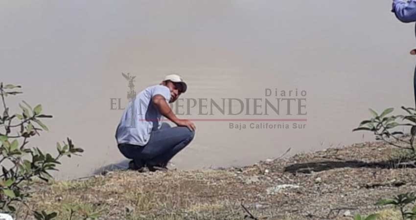 Minera canadiense acepta desbordamiento de sus desechos en río de Oaxaca