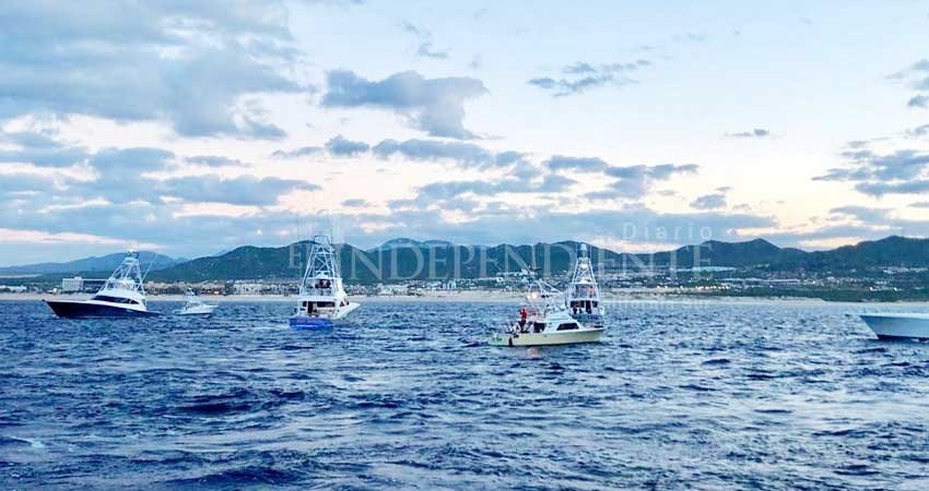 Inició vigésima edición del torneo de pesca Billfish