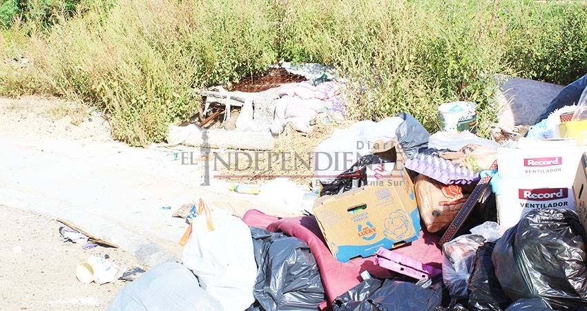 Sigue sin pasar el camión recolector de basura en colonia Miramar de CSL