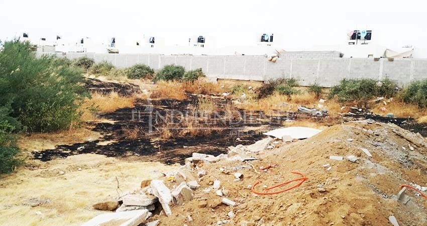 Se debe reducir el impacto ambiental por el mal manejo de la basura en Los Cabos