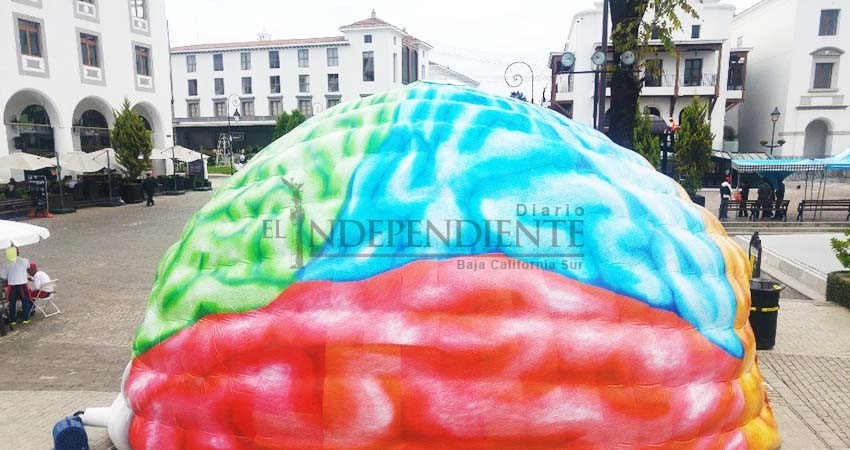 Científica de la UNAM investiga relación entre cerebro y creatividad