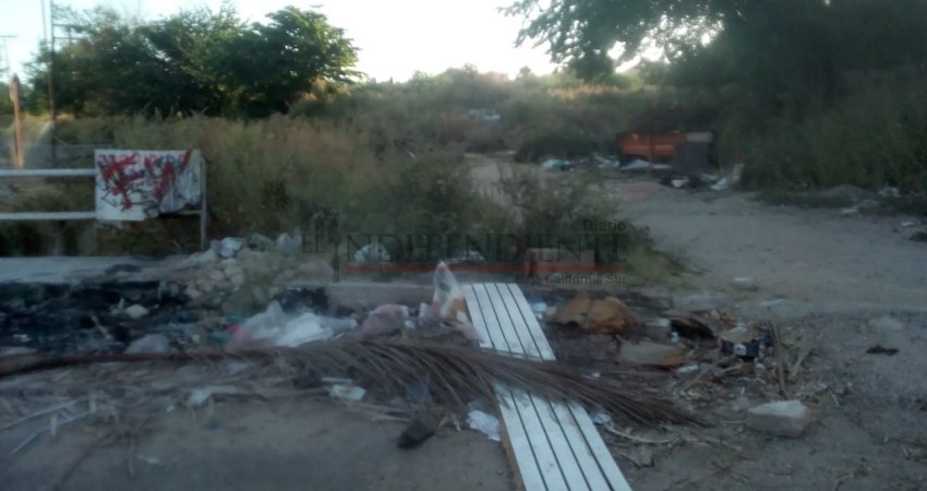Sigue brotando agua sucia en calles de la colonia Acuario de Cabo San Lucas