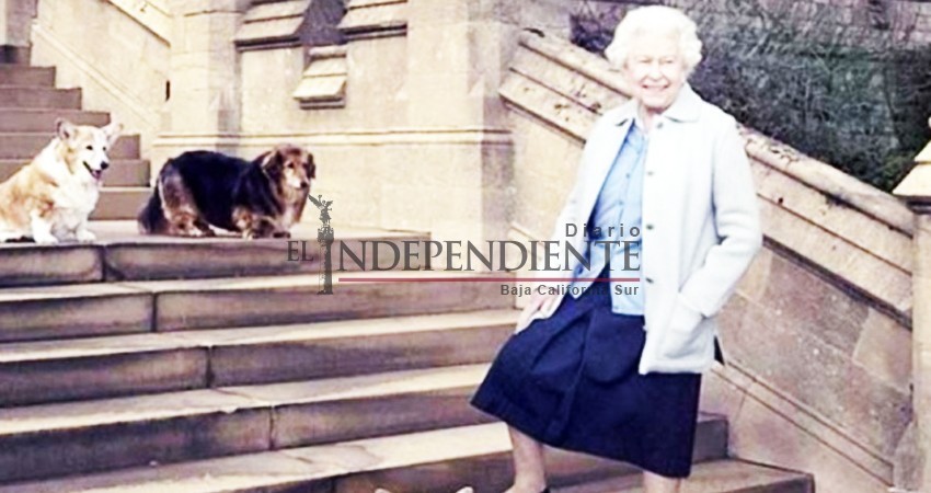 Fin de una era, muere Whisper, el último corgi de la reina