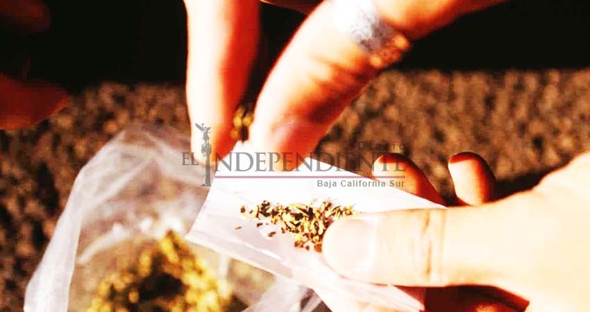 Legalización del uso lúdico de marihuana no afectaría al sector empresarial: Coparmex