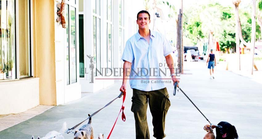 Alistan “marcha de perros” contra su prohibición en el malecón