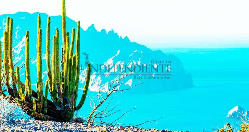 Ahora toca al gobernador decretar “zonas de salvaguarda”: Morena