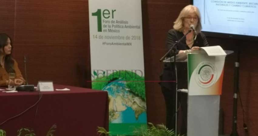 Gobierno electo trabaja en proyecto de impacto ambiental de Tren Maya