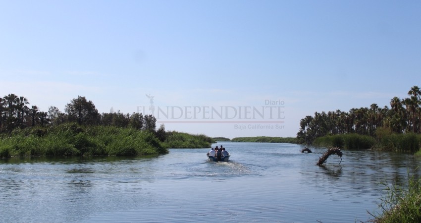 Realiza Ecología un diagnóstico para el manejo y conservación de aves en el Estero josefino
