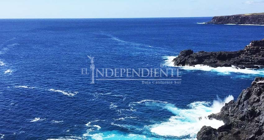 Celebra Revillagigedo un año como Área Natural Protegida con el carácter de Parque Nacional