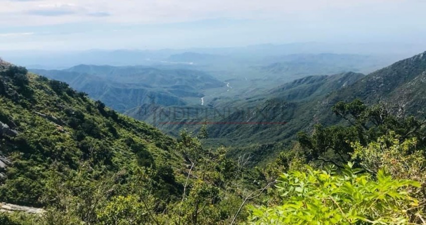 Falso el cambio de uso de suelo a favor de Los Cardones: Semarnat