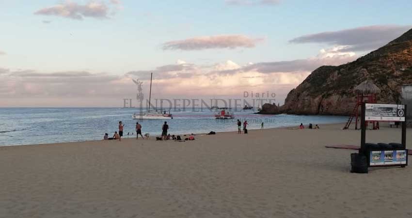 Repercusiones jurídicas en concesiones que no cuiden flora y fauna de playas: Zofemat Federal