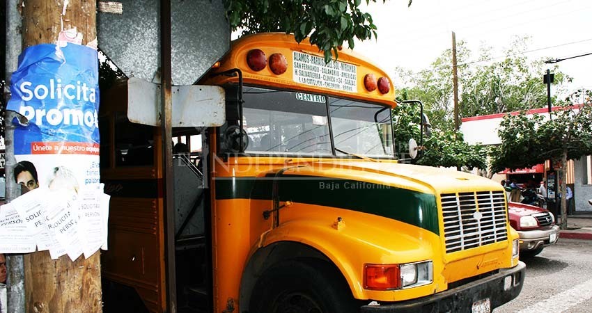 Necesita “socializarse” más la Ley de Movilidad: Dip Mercedes Maciel