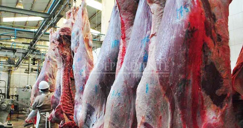 Plantea el Ayuntamiento  de La Paz cambiar de sitio el rastro municipal