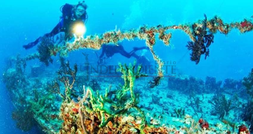 Buscan construir arrecife artificial en La Paz