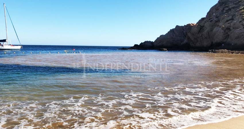 Descarta Zofemat daño a playa Santa María por derrame de agua