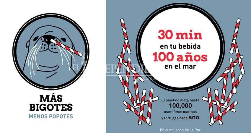 Habrá reglamento municipal “Desplastifícate” en enero de 2019